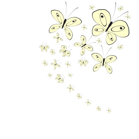 beautiful butterflies, on a whiteのイラスト素材