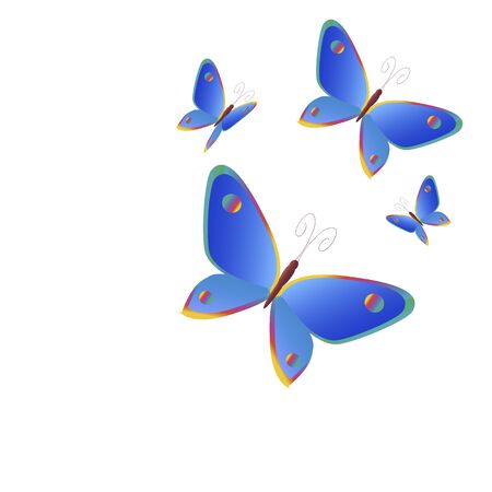 beautiful butterflies, on a whiteのイラスト素材