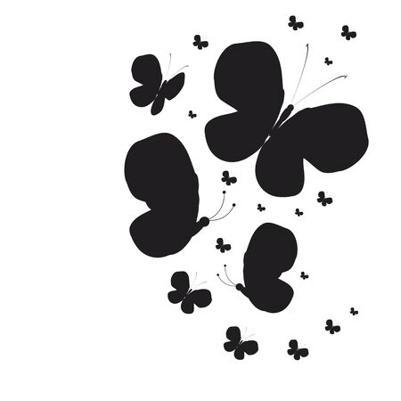 beautiful butterflies, on a whiteのイラスト素材