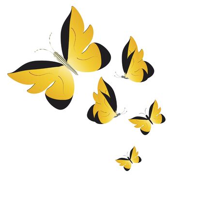 Beautiful butterflies, on a whiteのイラスト素材