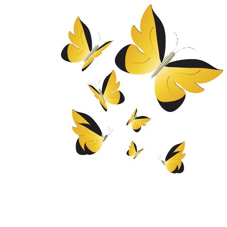 Beautiful butterflies, on a whiteのイラスト素材