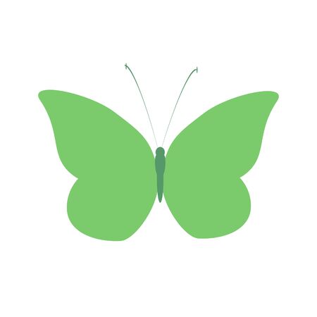 beautiful green butterflies, isolated on a whiteのイラスト素材