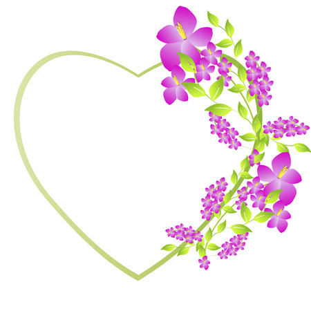 beautiful color flowers, isolated on a whiteのイラスト素材