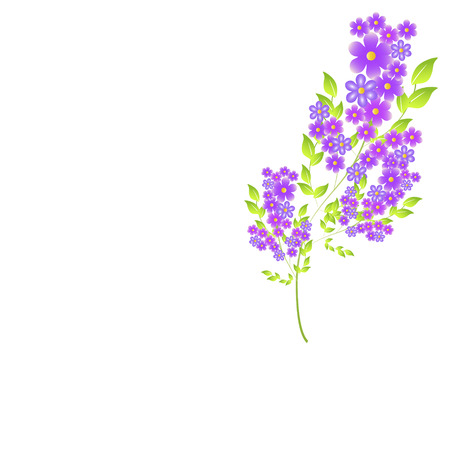 beautiful color flowers, isolated on a whiteのイラスト素材