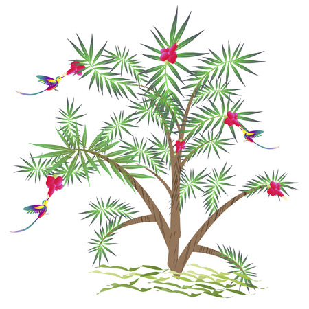 beautiful color tree, isolated on a whiteのイラスト素材