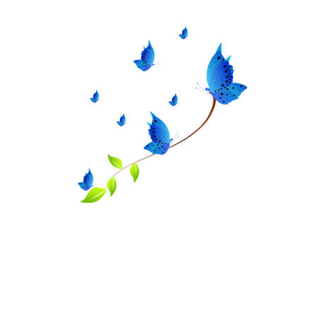 beautiful butterflies, blue,isolated on a whiteのイラスト素材