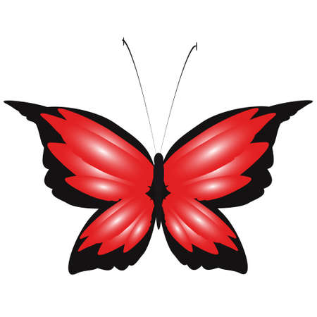 beautiful red butterflies, isolated on a whiteのイラスト素材