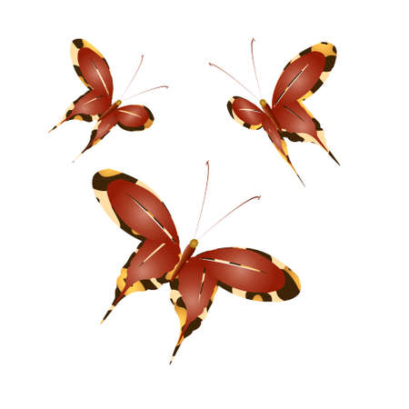 beautiful yellow butterflies, isolated on a whiteのイラスト素材