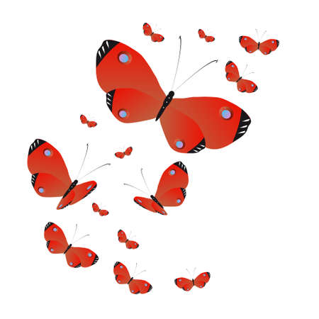 beautiful yellow butterflies, isolated on a whiteの写真素材