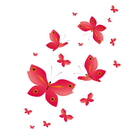 beautiful red butterflies, isolated on a whiteの写真素材