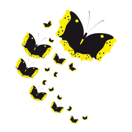 silhouette,beautiful butterflies, isolated on a whiteの写真素材