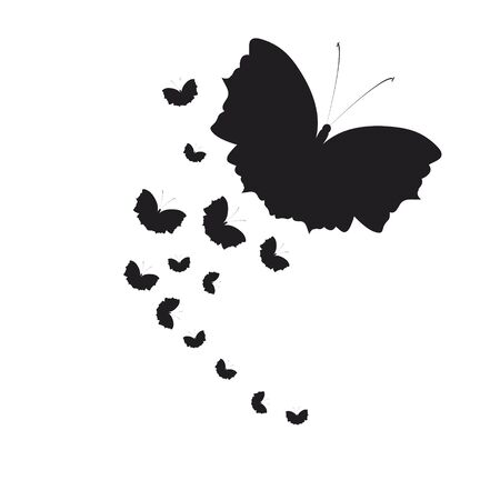silhouette,beautiful butterflies, isolated on a whiteの写真素材