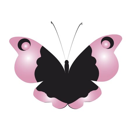 color beautiful butterflies, isolated on a whiteのイラスト素材