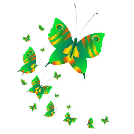 Beautiful green butterflies, isolated on a whiteのイラスト素材