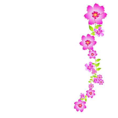 beautiful color flowers, isolated on a whiteのイラスト素材