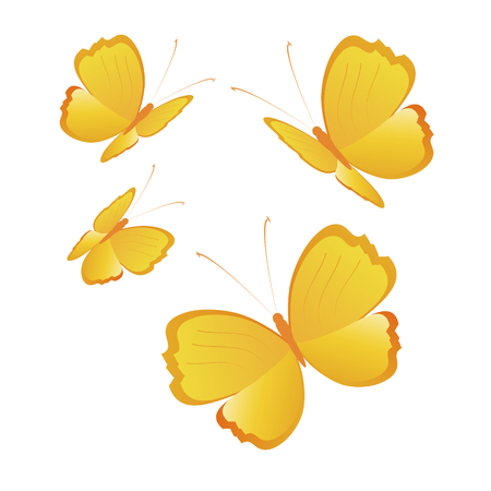 beautiful yellow butterflies, isolated on a whiteのイラスト素材