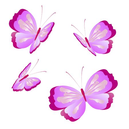 beautiful pink butterflies,isolated on a whiteのイラスト素材