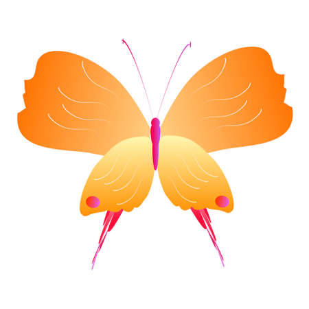 beautiful yellow butterflies, isolated on a whiteのイラスト素材