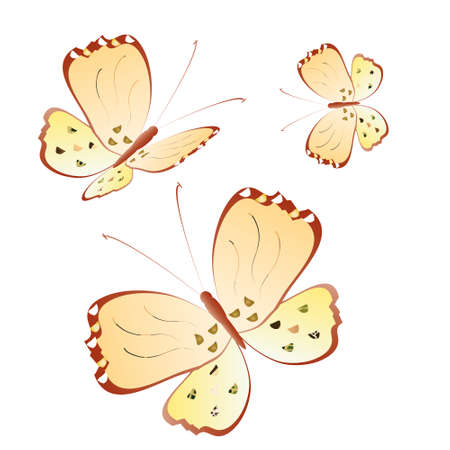 Beautiful yellow butterflies, isolated on a whiteのイラスト素材