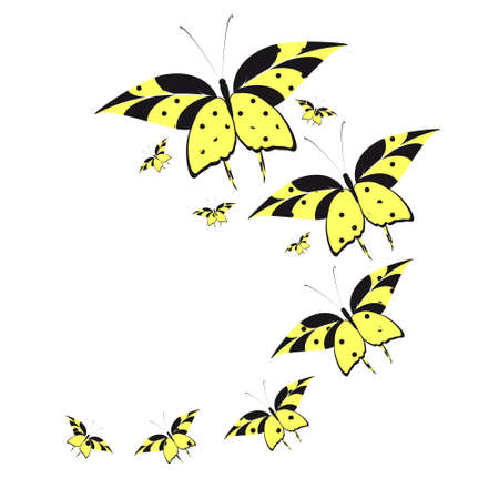 Beautiful yellow butterflies, isolated on a whiteのイラスト素材