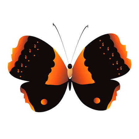 silhouette,beautiful butterflies, isolated on a whiteのイラスト素材