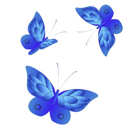 beautiful butterflies, blue,isolated on a whiteの写真素材