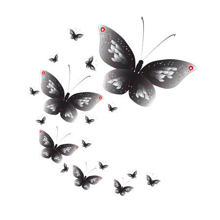 silhouette,beautiful butterflies, isolated on a whiteの写真素材