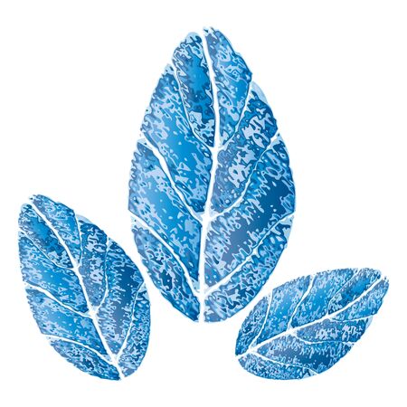 Blue water drop from drops and leavesのイラスト素材