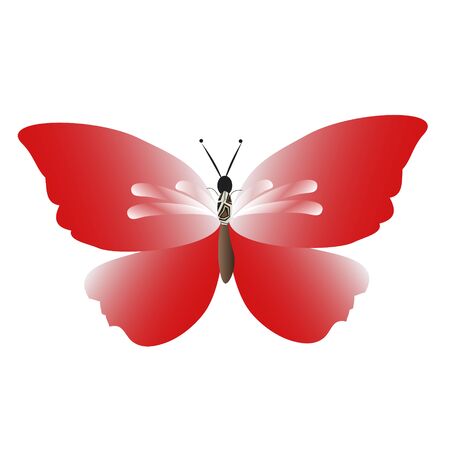 beautiful red butterflies, isolated on a whiteのイラスト素材