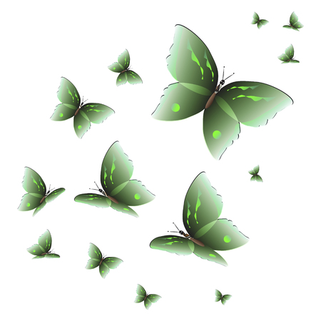 beautiful green butterflies, isolated on a whiteのイラスト素材
