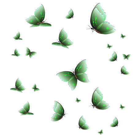 beautiful green butterflies, isolated on a whiteの写真素材