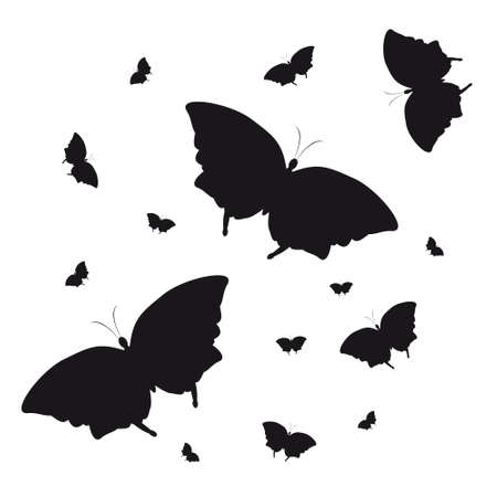silhouette,beautiful butterflies, isolated on a whiteの写真素材