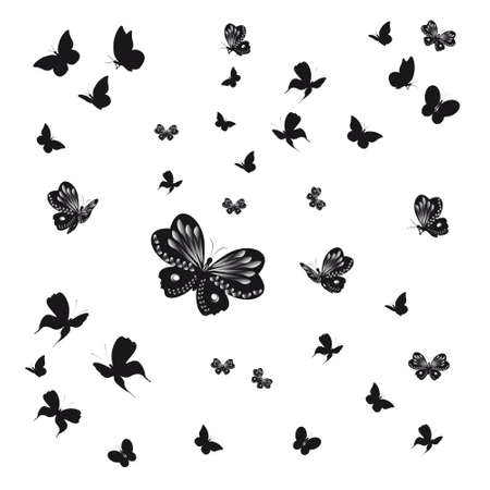 silhouette,beautiful butterflies, isolated on a whiteの写真素材