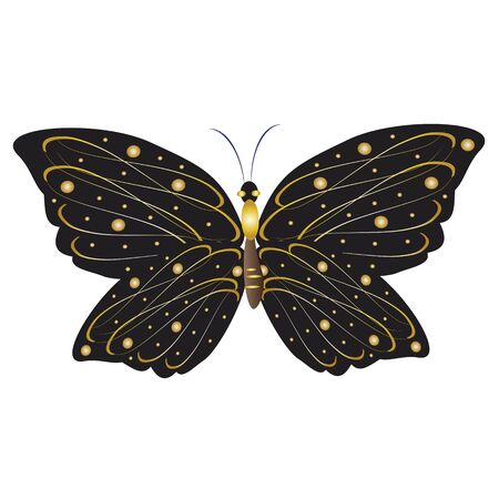 Silhouette beautiful butterflies isolated on a whiteのイラスト素材