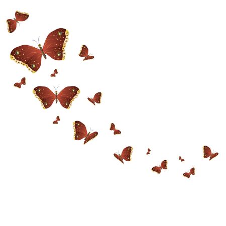 beautiful yellow butterflies, isolated on a whiteの写真素材