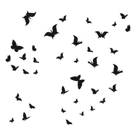 silhouette,beautiful butterflies, isolated on a whiteの写真素材