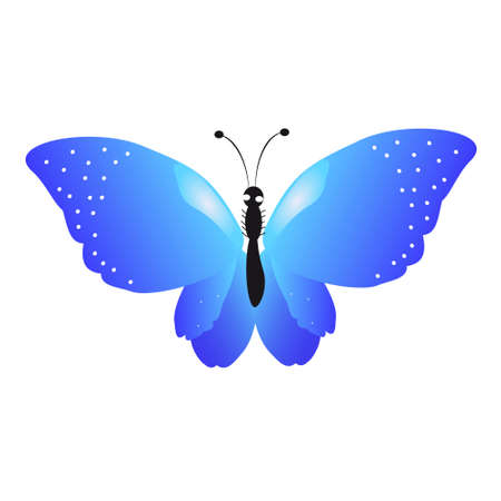 beautiful butterflies, blue,isolated on a whiteのイラスト素材