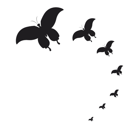 silhouette,beautiful butterflies, isolated on a whiteの写真素材