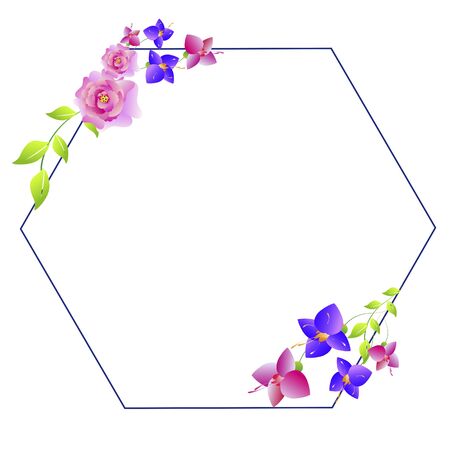 Beautiful color flowers on a white background.のイラスト素材
