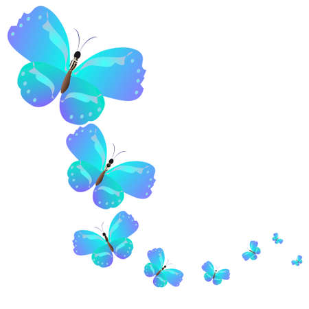 beautiful butterflies, blue,isolated on a whiteのイラスト素材
