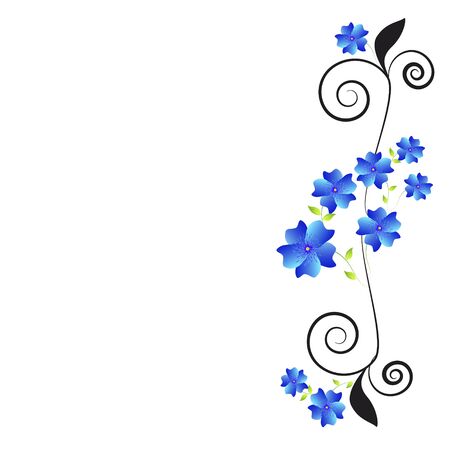 beautiful color flowers, isolated on a whiteのイラスト素材