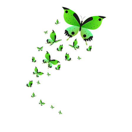 beautiful green butterflies, isolated on a whiteのイラスト素材
