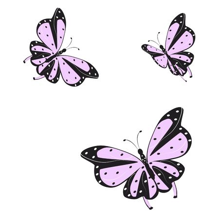 beautiful pink butterflies,isolated on a white のイラスト素材