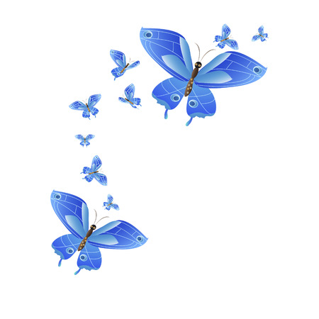 Beautiful blue butterflies.のイラスト素材