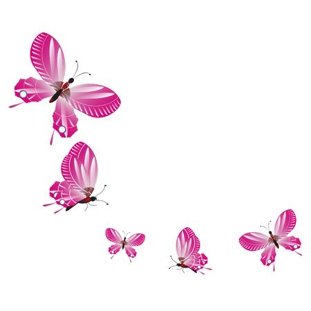 beautiful pink butterflies,isolated on a white のイラスト素材