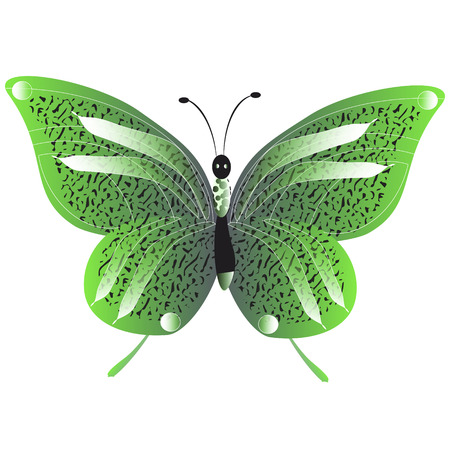 Beautiful green butterfly illustration.のイラスト素材