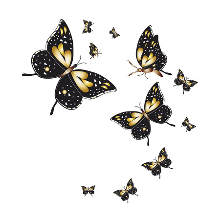 silhouette,beautiful butterflies, isolated on a whiteのイラスト素材
