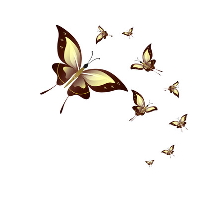 Beautiful yellow butterflies, isolated on a whiteのイラスト素材