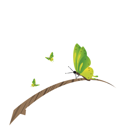 Beautiful green butterflies, isolated on a whiteのイラスト素材