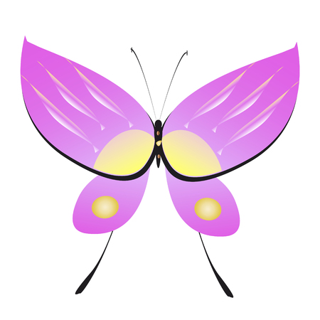Beautiful pink butterflies,isolated on a white background.のイラスト素材